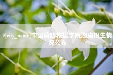 辽宁中国消防救援学院湖南招生情况公布