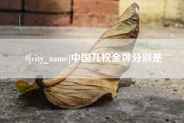 辽宁中国九枚金牌分别是