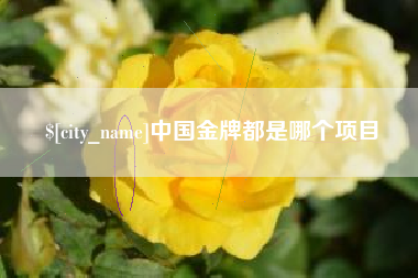 辽宁中国金牌都是哪个项目