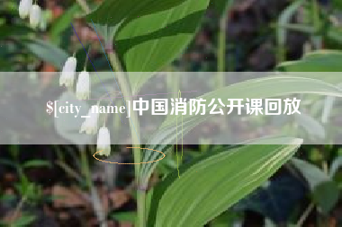 辽宁中国消防公开课回放