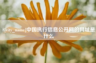 辽宁中国执行信息公开网的网址是什么