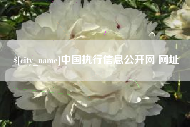 辽宁中国执行信息公开网 网址
