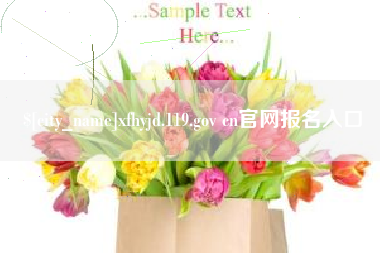 辽宁xfhyjd.119.gov cn官网报名入口