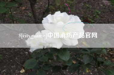 辽宁中国消防产品官网