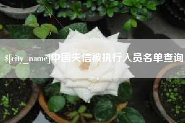 辽宁中国失信被执行人员名单查询