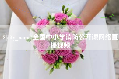辽宁全国中小学消防公开课网络直播视频
