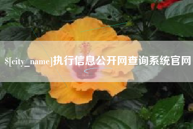 辽宁执行信息公开网查询系统官网
