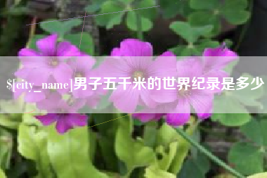 辽宁男子五千米的世界纪录是多少