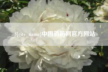 辽宁中国消防网官方网站