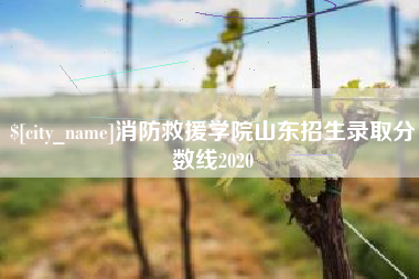 辽宁消防救援学院山东招生录取分数线2020
