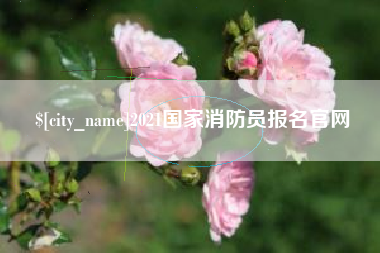 辽宁2021国家消防员报名官网
