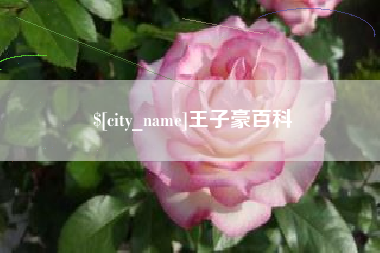 辽宁王子豪百科