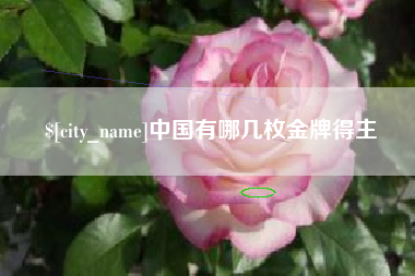 辽宁中国有哪几枚金牌得主