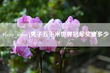 辽宁男子五千米世界冠军奖金多少