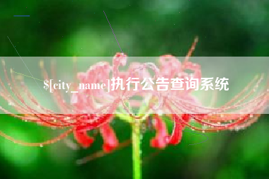 辽宁执行公告查询系统