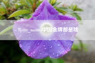 辽宁中国金牌都是啥