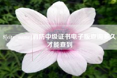 辽宁消防中级证书电子版查询多久才能查到