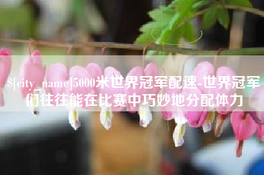 辽宁5000米世界冠军配速-世界冠军们往往能在比赛中巧妙地分配体力