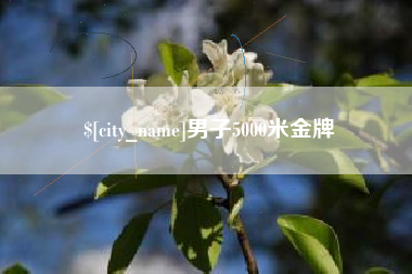 辽宁男子5000米金牌