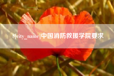 辽宁中国消防救援学院要求