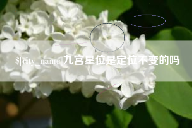 辽宁九宫星位是定位不变的吗