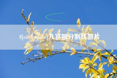 辽宁九宫图分割线图片