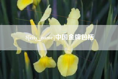 辽宁中国金牌包括
