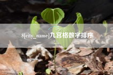 辽宁九宫格数字排序