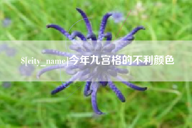 辽宁今年九宫格的不利颜色