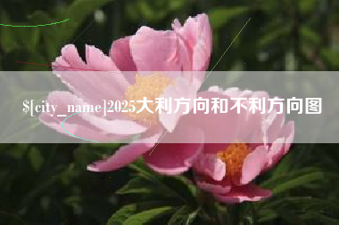 辽宁2025大利方向和不利方向图