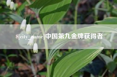 辽宁中国第九金牌获得者