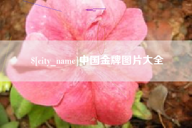 辽宁中国金牌图片大全