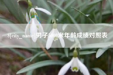辽宁男子5000米年龄成绩对照表