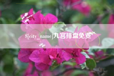 辽宁九宫排盘免费