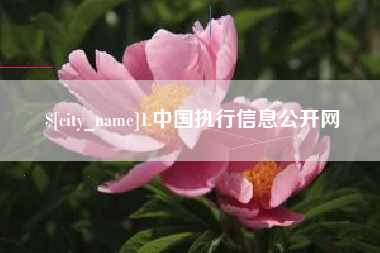 辽宁1.中国执行信息公开网