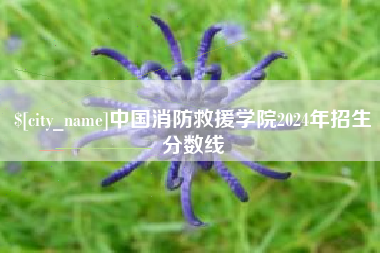 辽宁中国消防救援学院2024年招生分数线