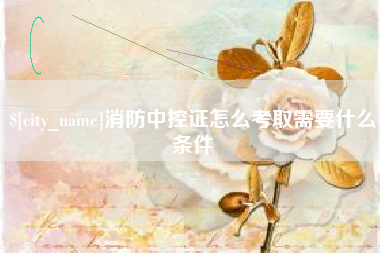 辽宁消防中控证怎么考取需要什么条件