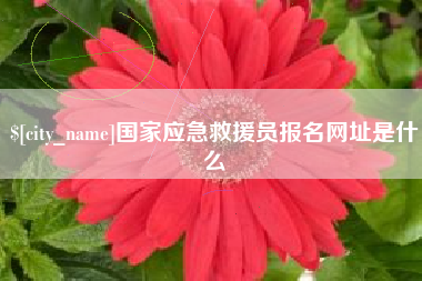 辽宁国家应急救援员报名网址是什么