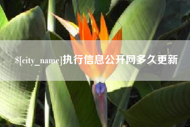 辽宁执行信息公开网多久更新