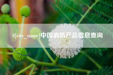 辽宁中国消防产品信息查询