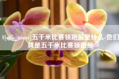 辽宁五千米比赛领跑员是什么-他们就是五千米比赛领跑员