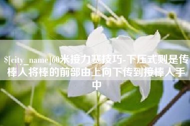 辽宁60米接力赛技巧-下压式则是传棒人将棒的前部由上向下传到接棒人手中