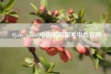 辽宁中国消防报考中心官网