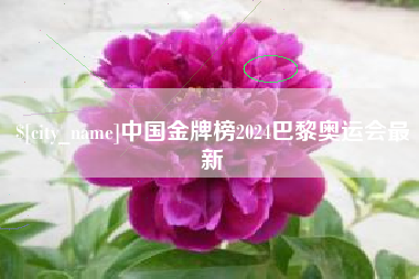 辽宁中国金牌榜2024巴黎奥运会最新
