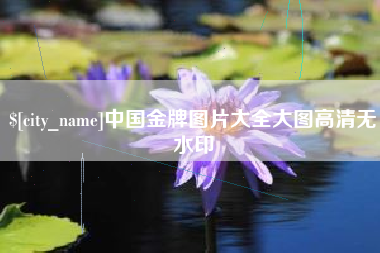 辽宁中国金牌图片大全大图高清无水印