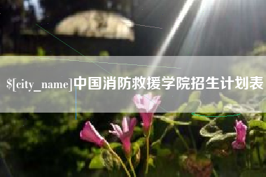 辽宁中国消防救援学院招生计划表