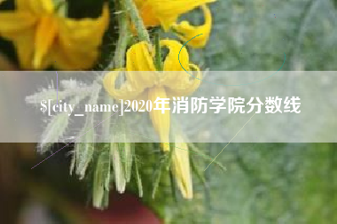 辽宁2020年消防学院分数线