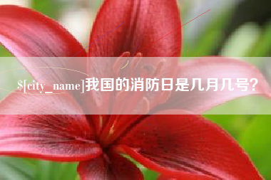 辽宁我国的消防日是几月几号？
