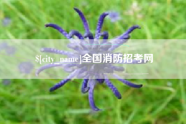 辽宁全国消防招考网