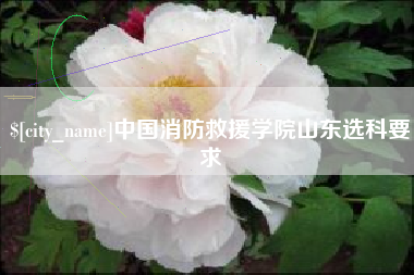 辽宁中国消防救援学院山东选科要求